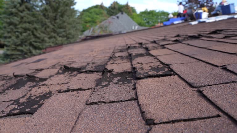 Best Metal Roofing Installation  in Mulberry, OH